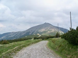 100_9756 (1)